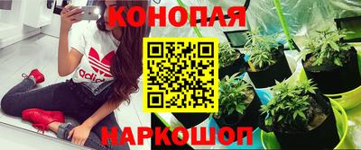 мефедрон VHQ Малгобек
