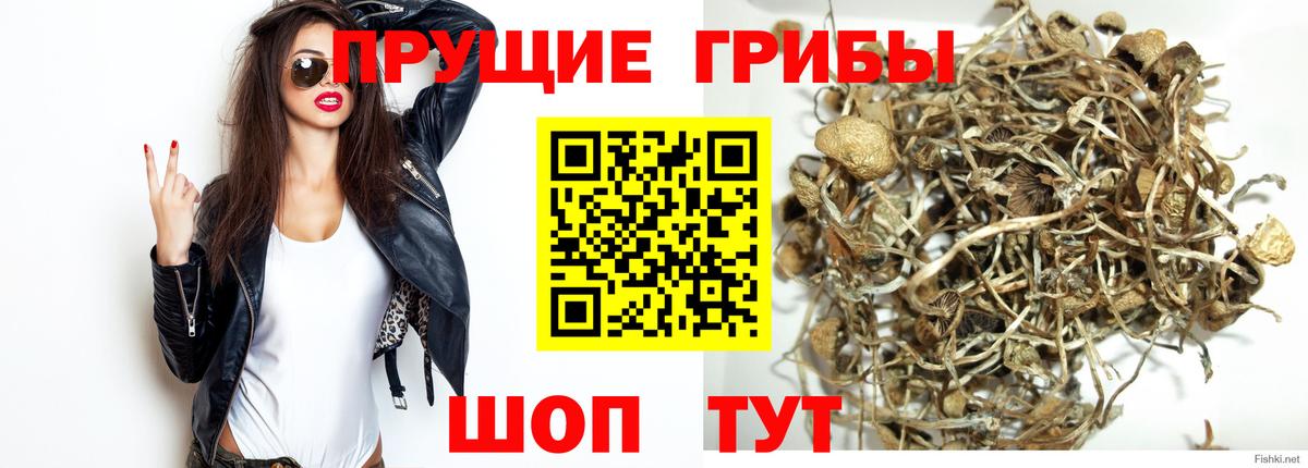 Галлюциногенные грибы мухоморы  Галлюциногенные грибы мухоморы  магазин  наркотиков  Вход с VPN  Чапаевск 