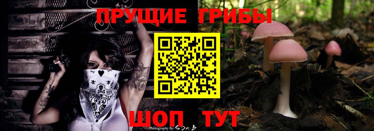 Псилоцибиновые грибы прущие грибы Чапаевск
